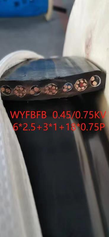 WYFBFB 6*2.5+3*1+18*0.75P